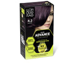 Permanent Colour Llongueras COLOR ADVANCE Nº 4,2-Borgona product packaging