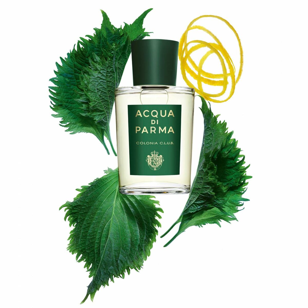 Unisex Perfume Acqua Di Parma Colonia Club EDC 100 ml 96 g for Men product packaging