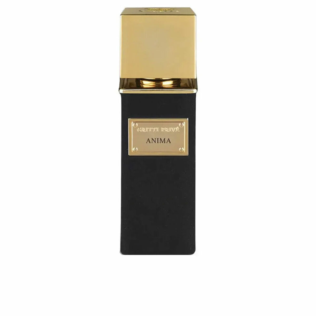 Men's Perfume Gritti ANIMA EXTRAIT DE PARFUM EDP 100 ml bottle