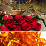 V1HBAFFB7D3D909BAFA04CADAE74B6D781ARP3