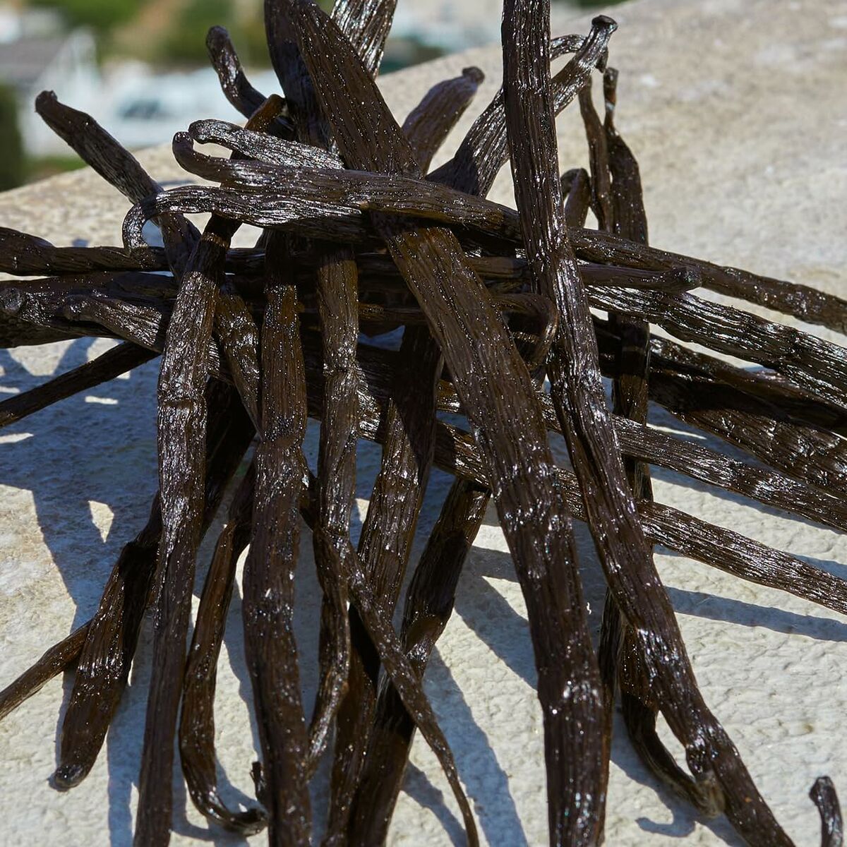 Women's Perfume D&G Devotion EDP 50 ml for Women bottle