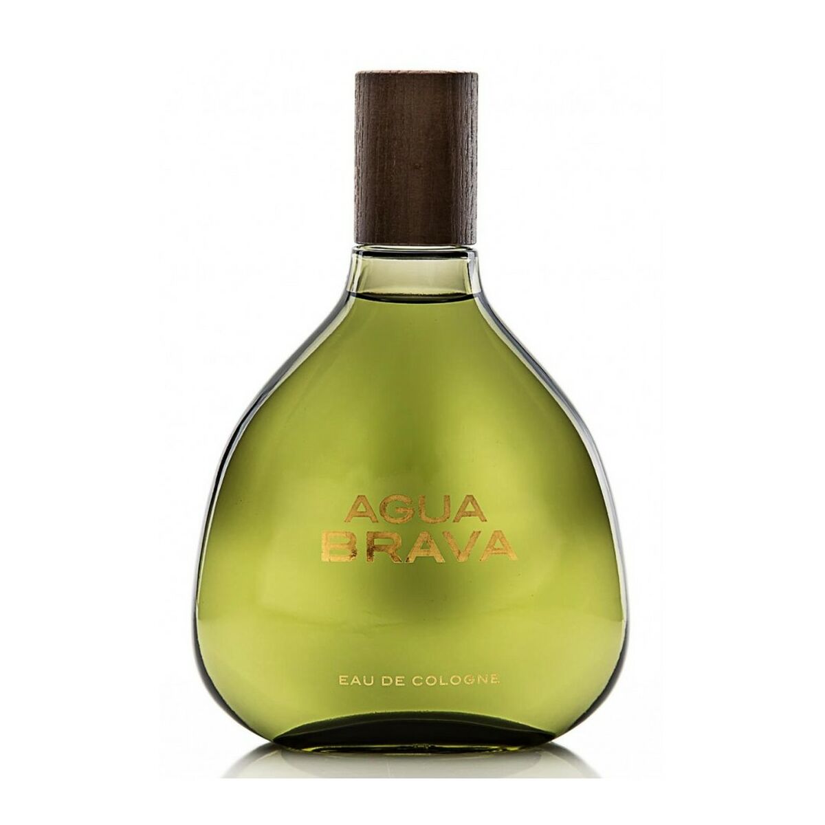 Men's Perfume Puig Agua Brava EDC 100 ml for Men product packaging