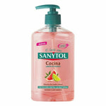 Hand Soap Dispenser Sanytol Kitchen 250 ml product packaging