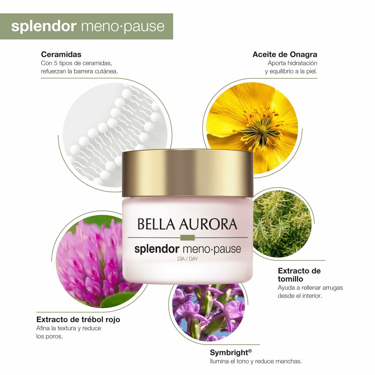 Facial Cream Bella Aurora BELLA AURORA SPLENDOR Spf 20 50 ml skincare packaging