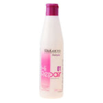 Restorative Shampoo Hi Salerm (250 ml) shampoo bottle