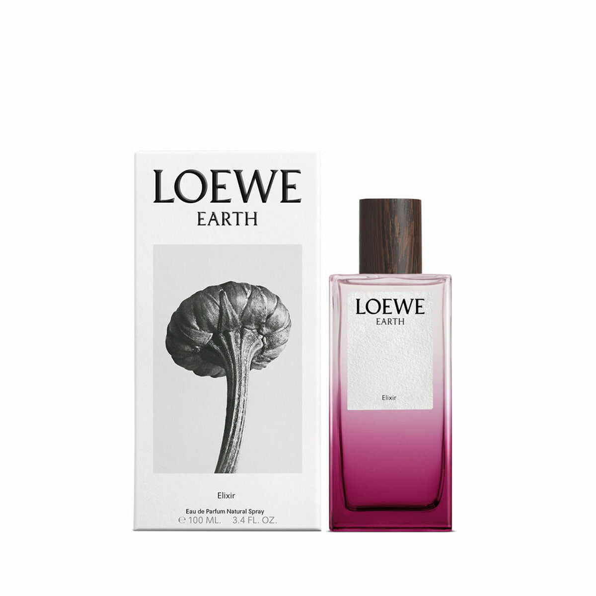 Women's Perfume Loewe EARTH 100 ml product packaging