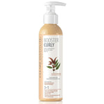 Defined Curls Conditioner Clearé Institute Booster Curly 200 ml conditioner bottle