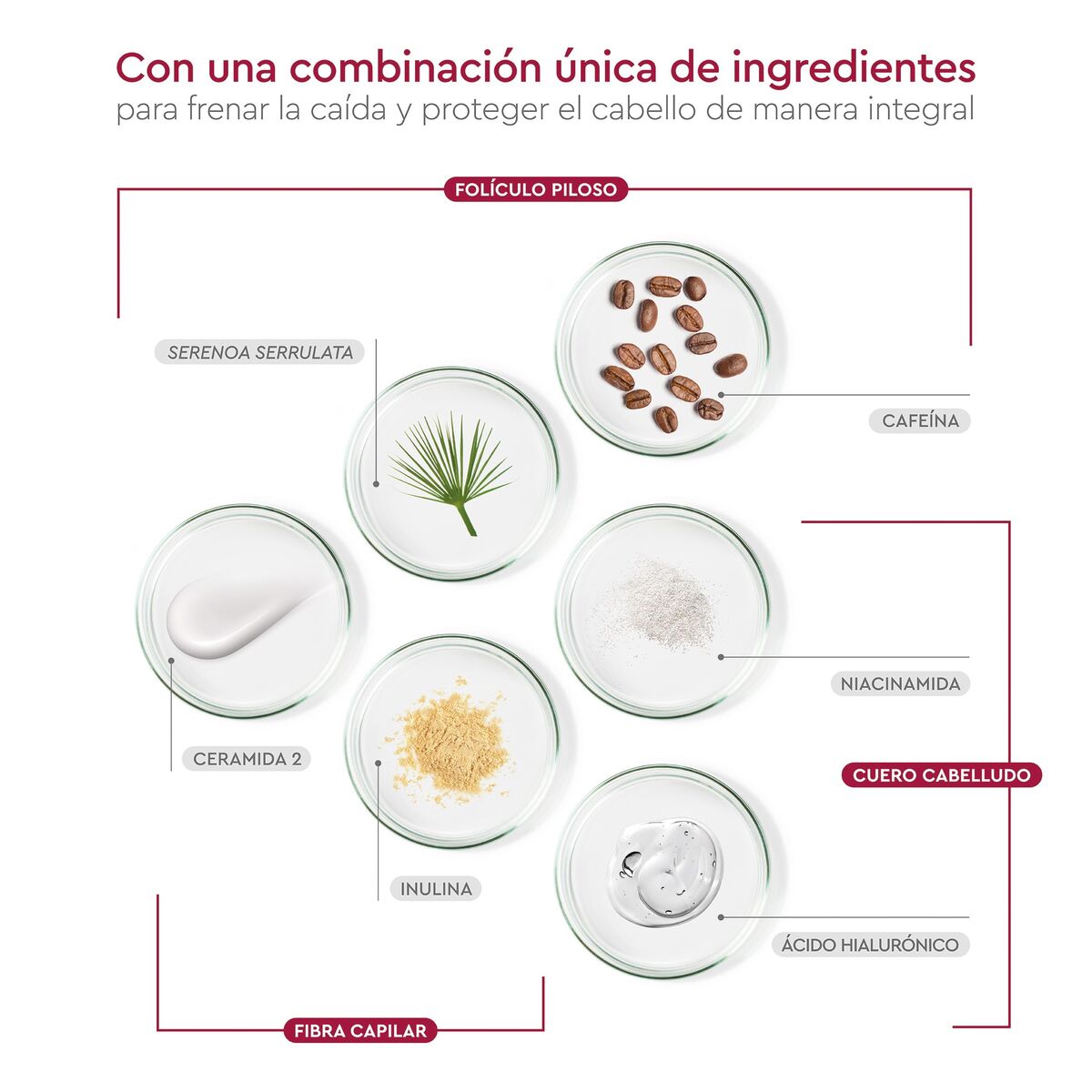 Shampoo Pilexil CHAMPÚ for Women shampoo bottle