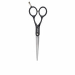 Hair scissors Steinhart 