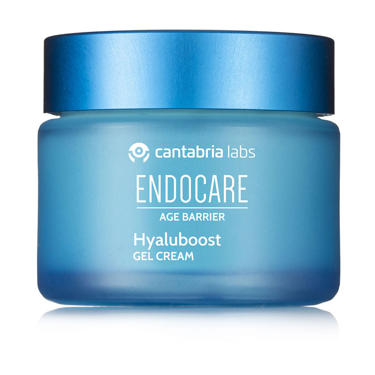 Anti-Ageing Cream Endocare HYALUBOOST 50 ml skincare packaging