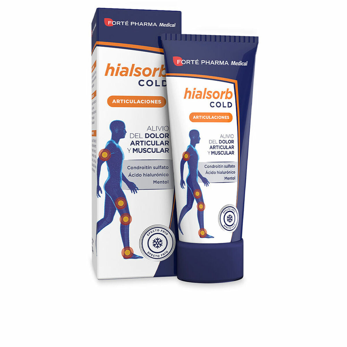 Body Cream Forté Pharma Hialsorb Cold 100 ml skincare packaging