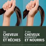 Moisturizing Shampoo Herbal Essences Coconut Scent 680 ml shampoo bottle