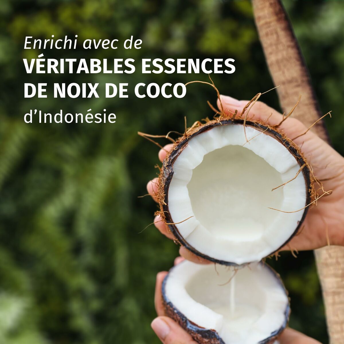 Moisturizing Shampoo Herbal Essences Coconut Scent 680 ml shampoo bottle