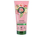 Conditioner Herbal Essences ROSAS SUAVIDAD 250 ml conditioner bottle