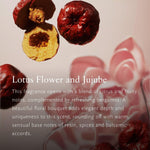 Cosmetic Set Rituals THE RITUAL OF JING 5 Pieces product packaging