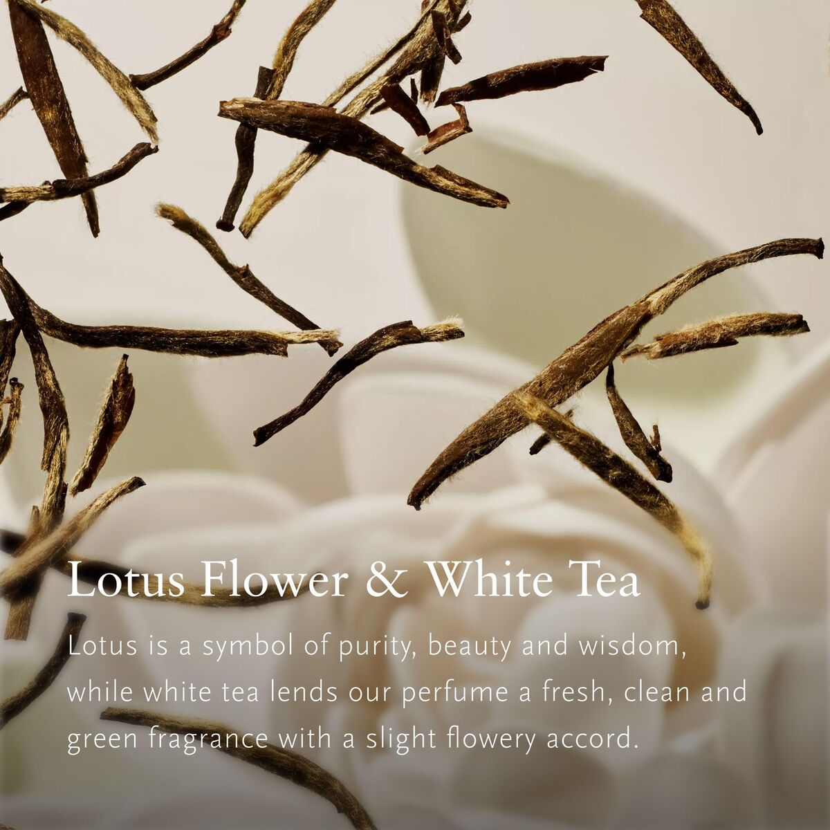 Cosmetic Set Rituals THE RITUAL OF KARMA 5 Pieces product packaging