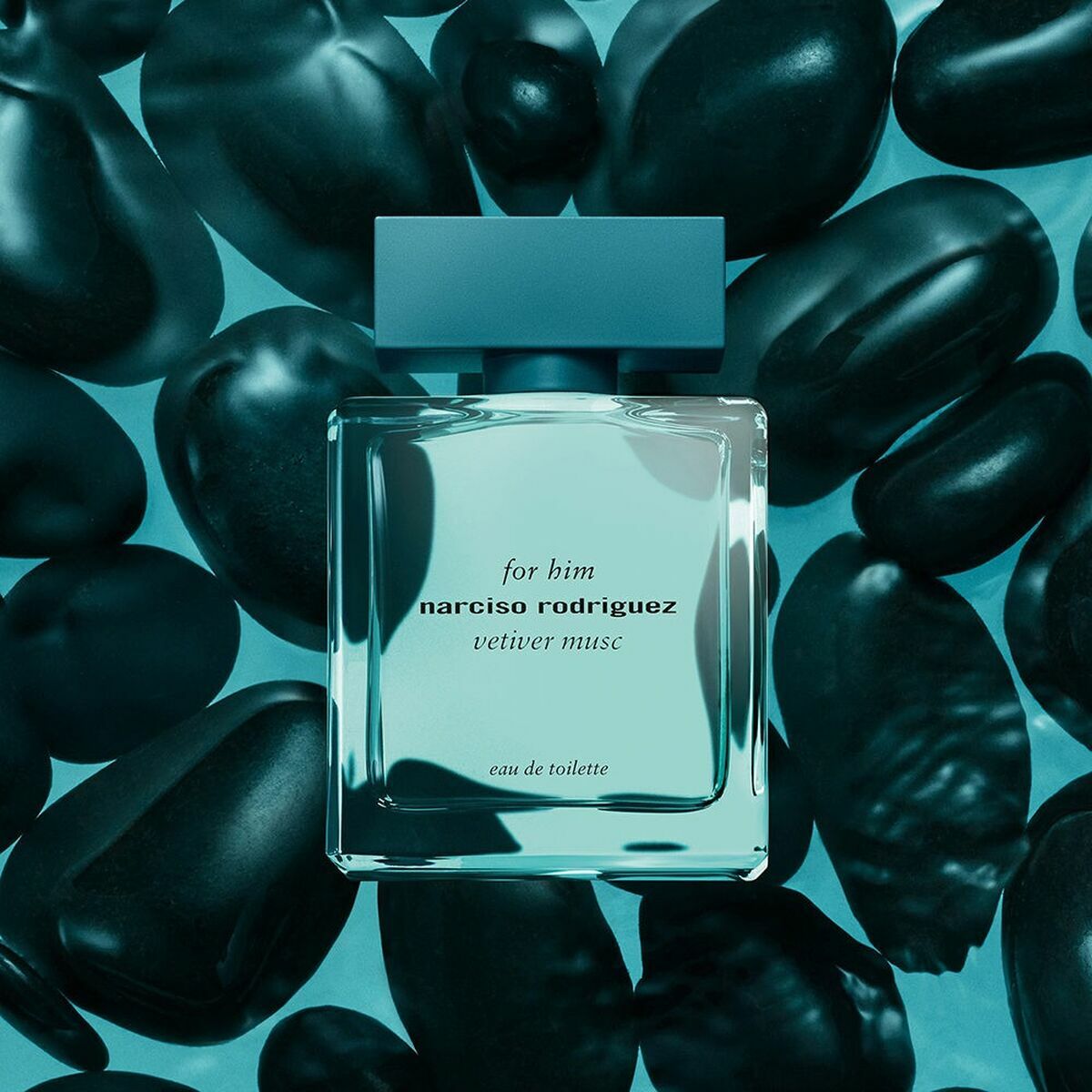 Men's Perfume Narciso Rodriguez For Him Vetiver Musc EDT 100 ml for Men bottle